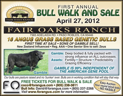 Bull Walk flyer