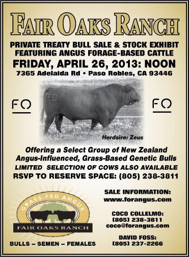 Bull Walk flyer