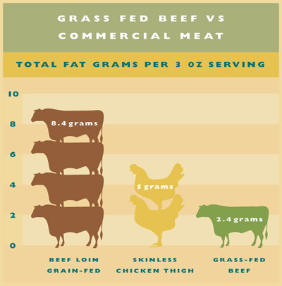 fat grams comparison chart