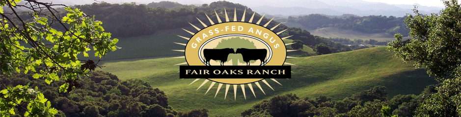 Fair Oaks Cattle Company ranch view
